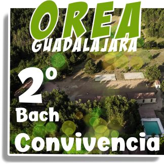 CONVIVENCIA OREA (Guadalajara) - 2º de Bachiller